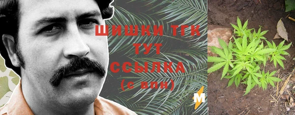 прущие крисы Пересвет