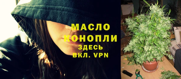 молекула духа Переславль-Залесский