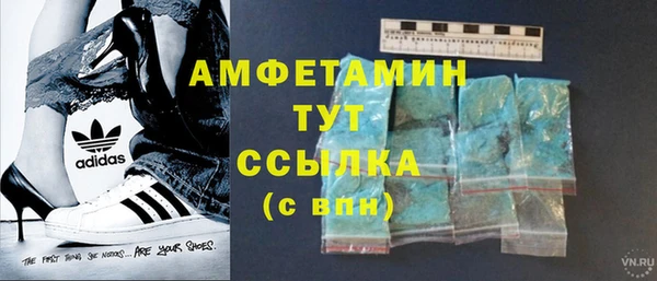 стаф Абаза